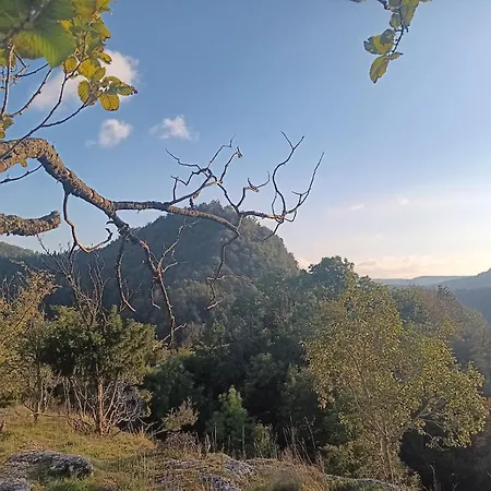 L'ains'tant Present *