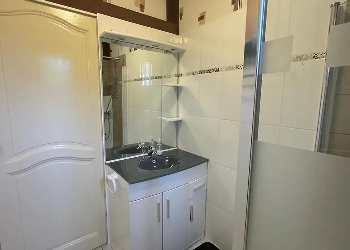 L'ains'tant Present Sirod