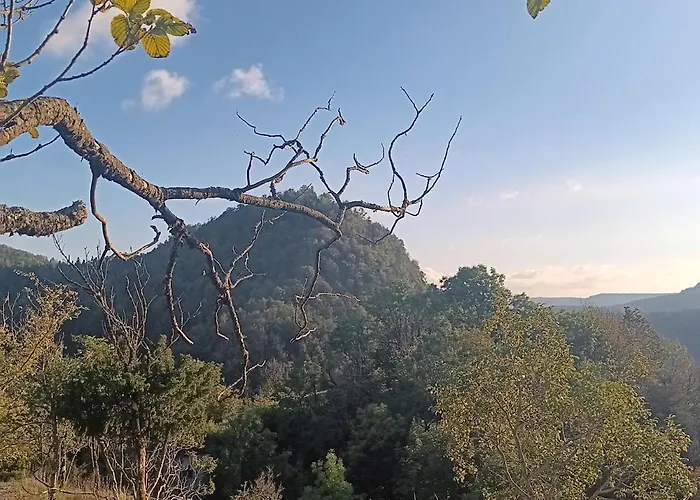 L'ains'tant Present *